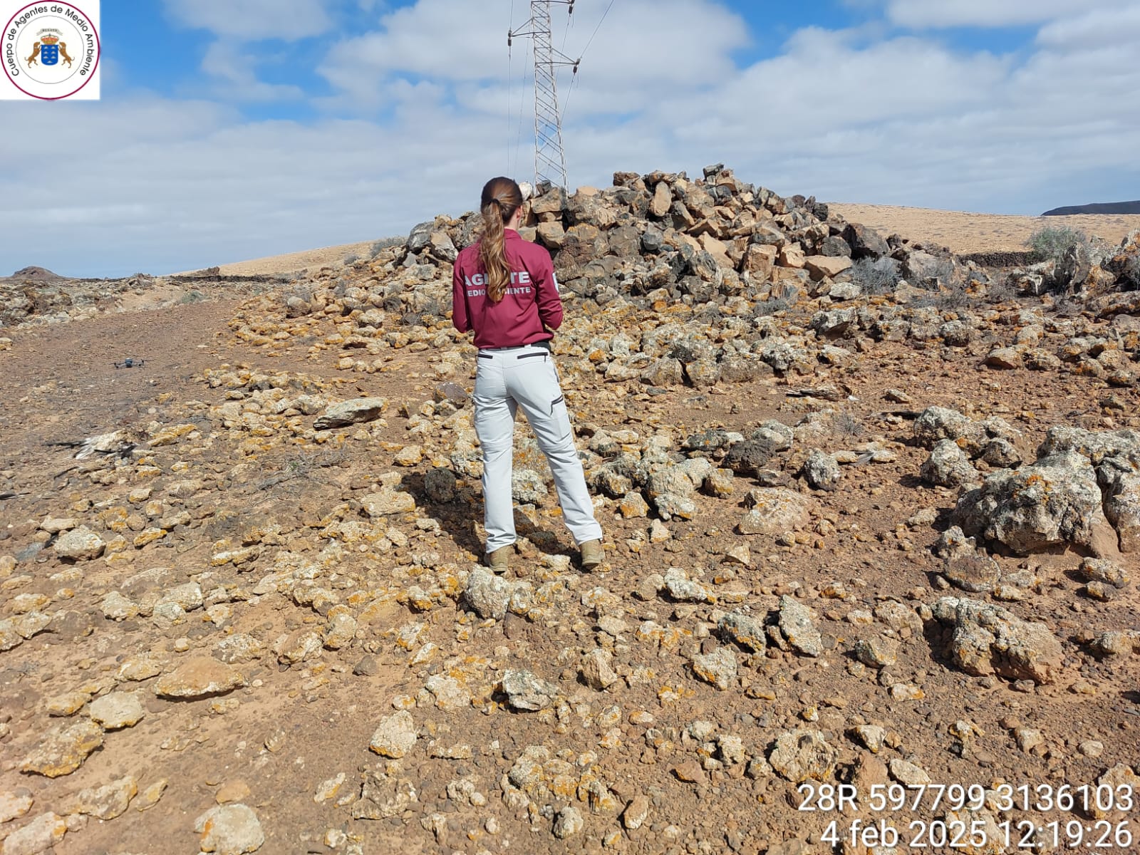 Mes negro para las aves protegidas en Fuerteventura por su colisión con infraestructuras energéticas