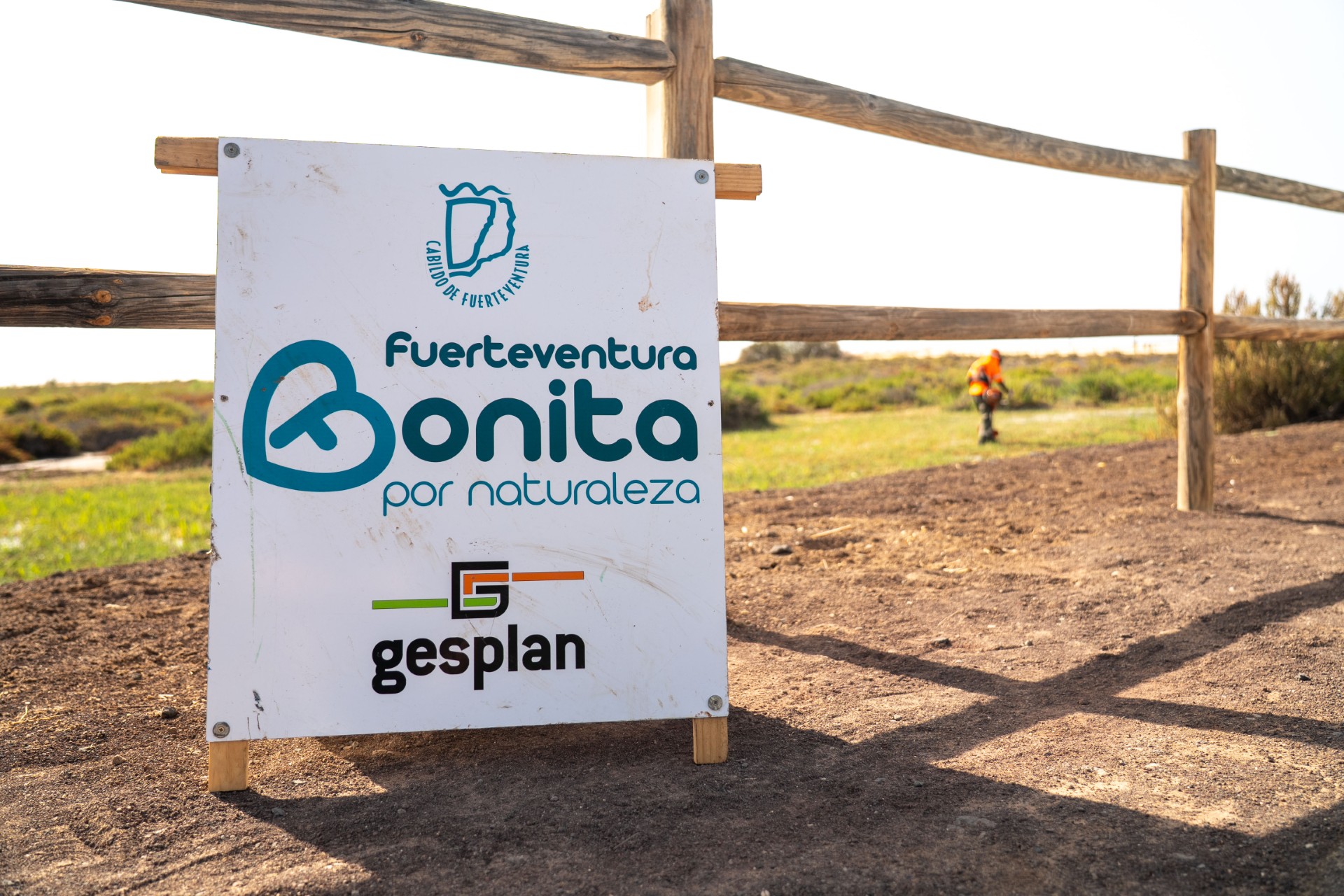 Primeros resultados de la prueba piloto para asfixiar el carrizo en el Saladar de Jandía: “control positivo”