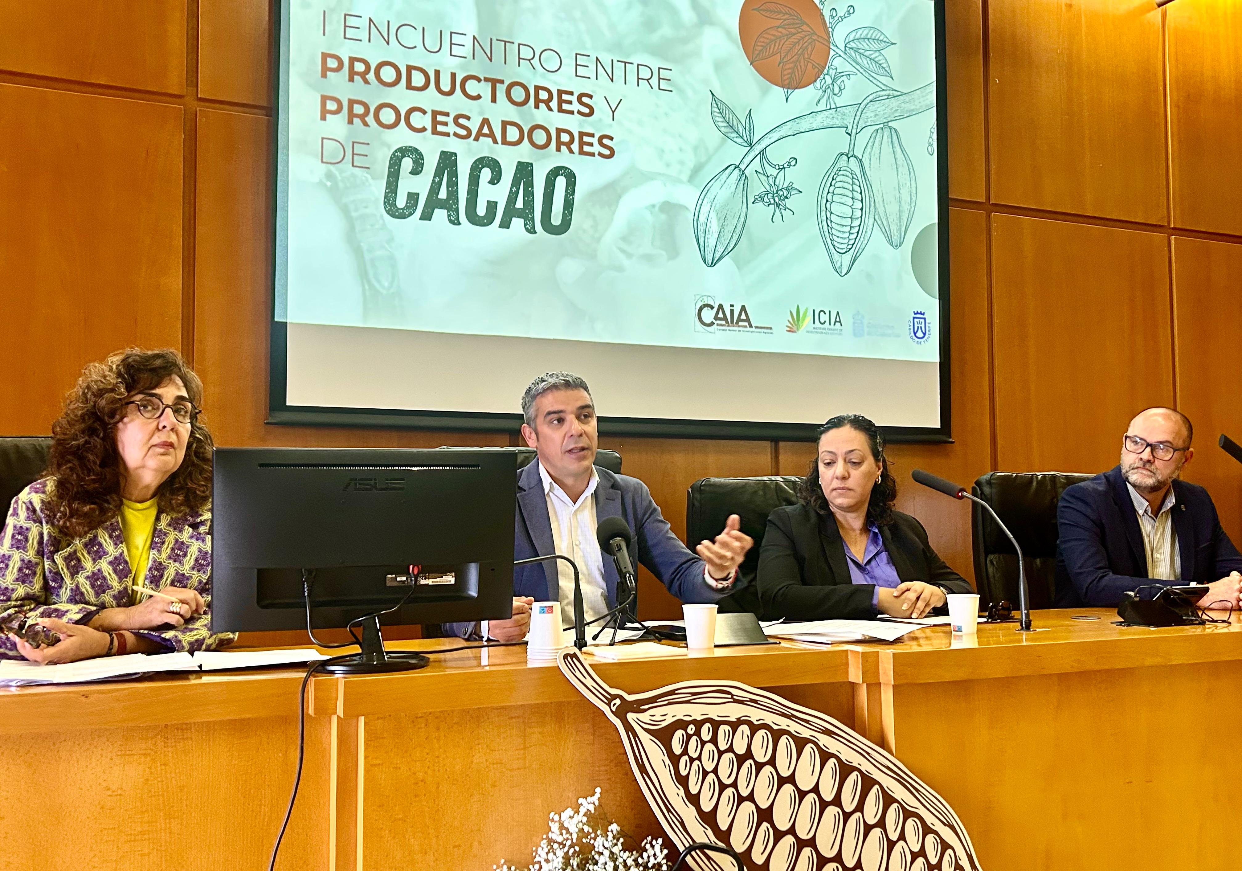El cacao de Canarias despierta el interés de empresas españolas que elaboran chocolates artesanales