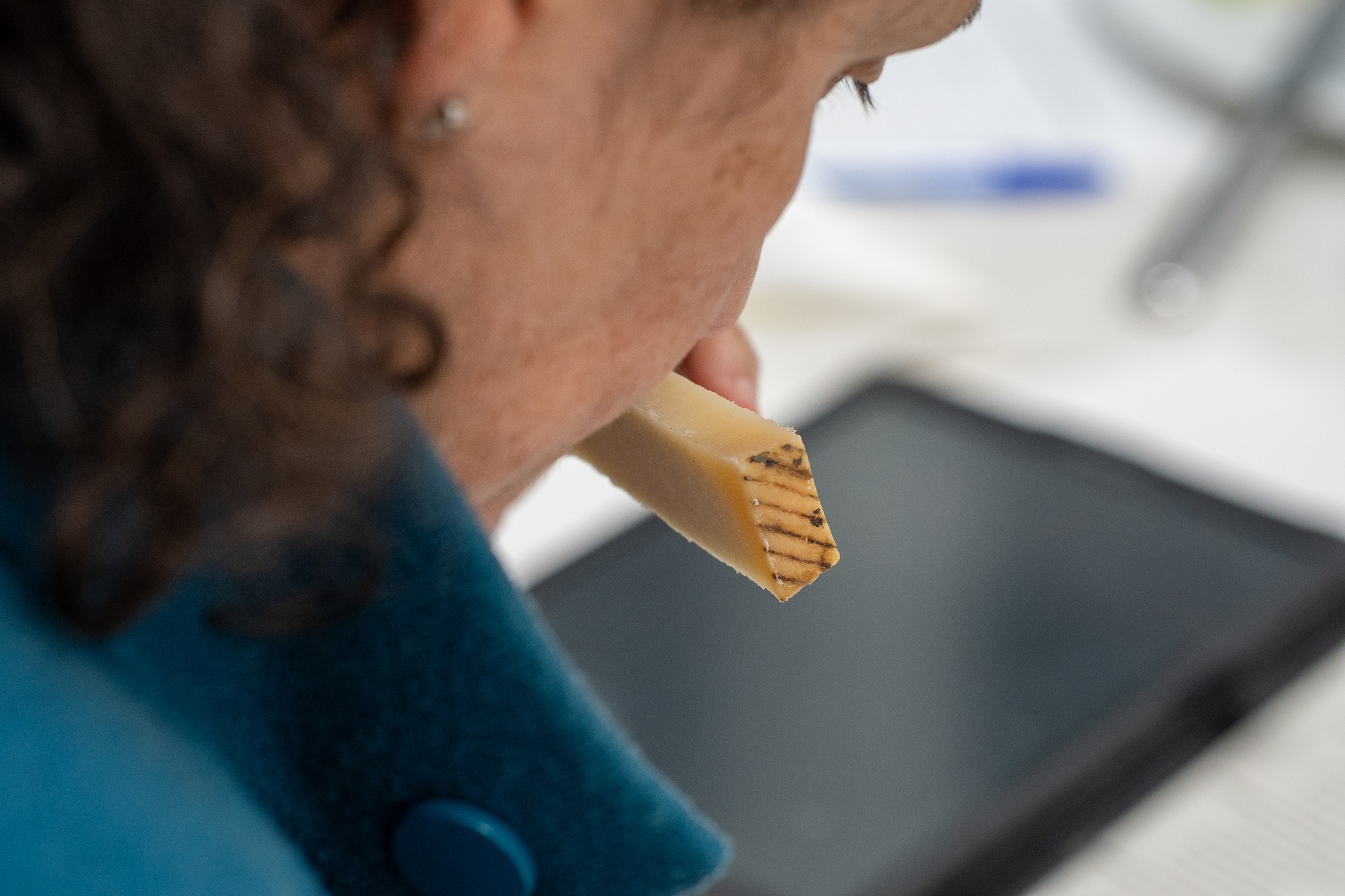 El ‘Queso Cueva Sosa’ de Gáldar, galardonado como el Mejor Curado de Gran Canaria 2025