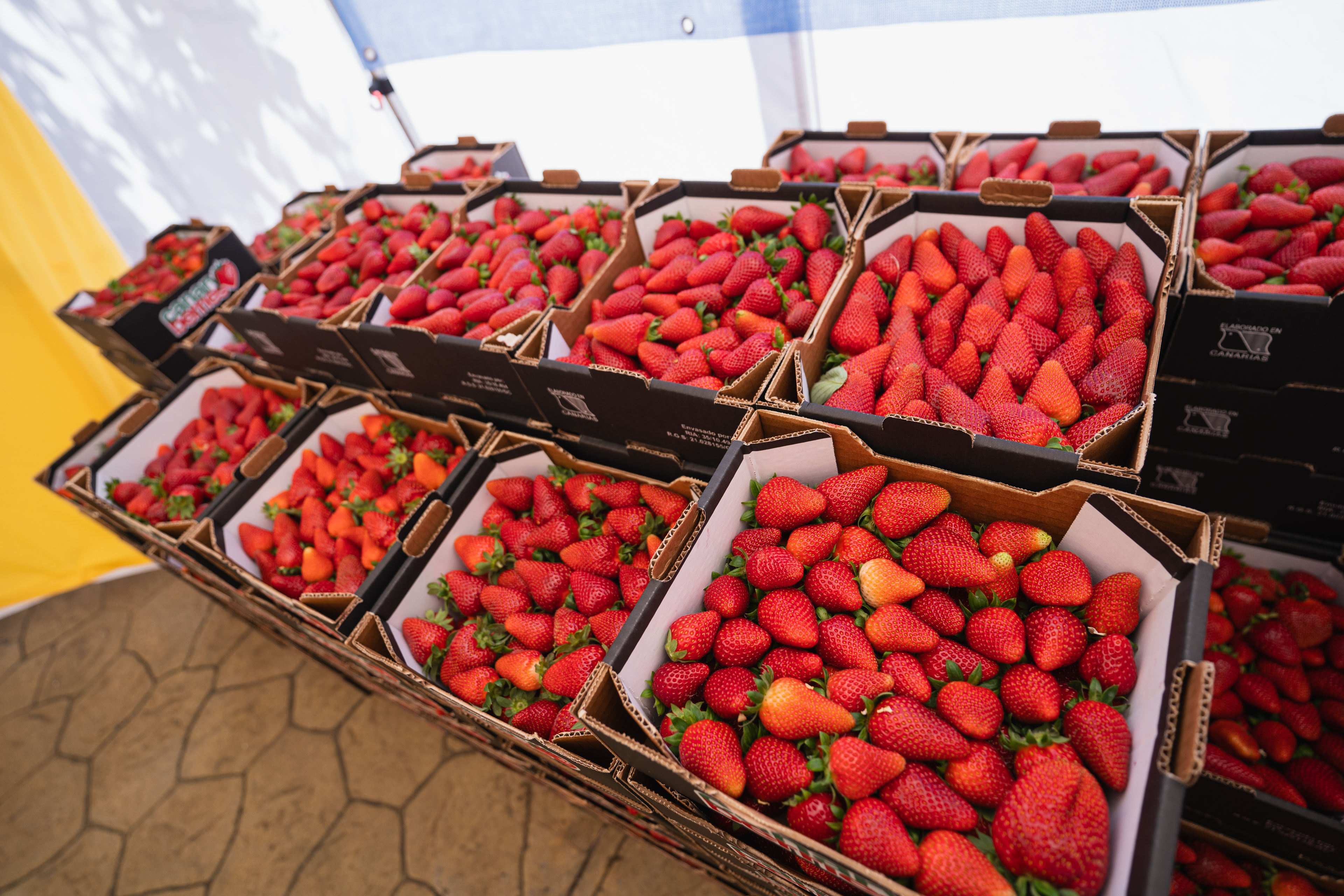Valsequillo, epicentro del sabor canario