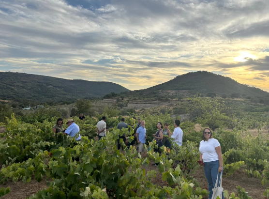 Un viaje de familiarización une a la Ruta del Vino de Gran …
