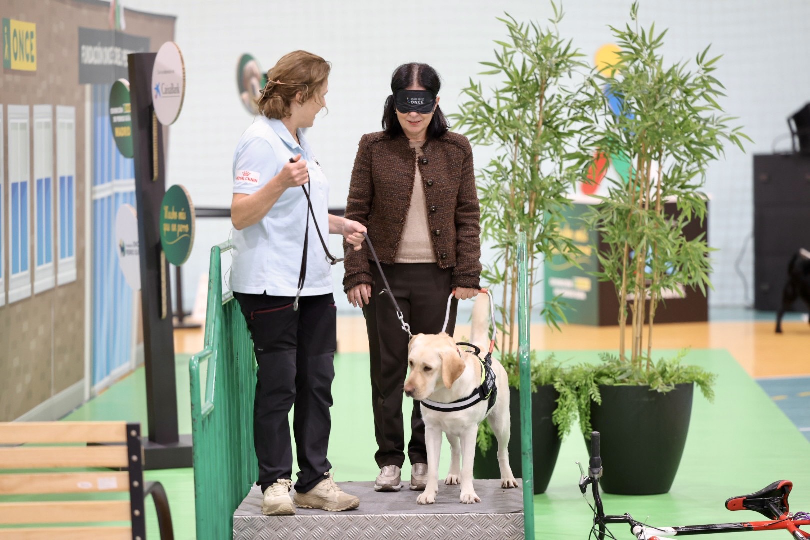 La ciudadanía de Gran Canaria conoce la labor de los perros guía de la ONCE