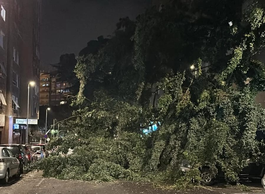 Incidencias en Santa Cruz de Tenerife por el viento