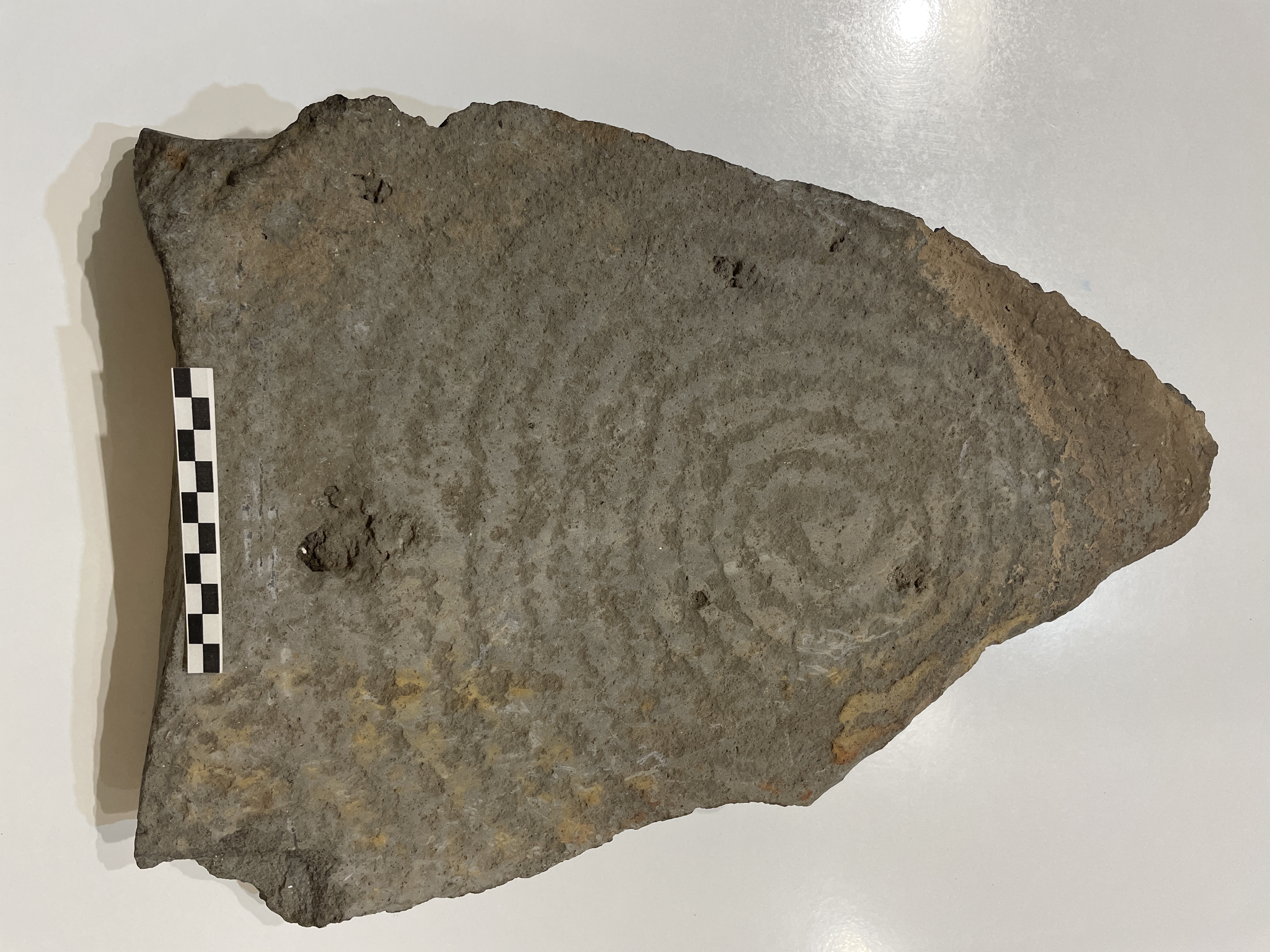 Grabados rupestres de época prehispánica procedentes del yacimiento del Llano de Las Lajitas (La Palma)