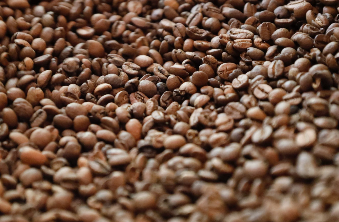 Jornada técnica informativa centrada en el sector del café de Agaete