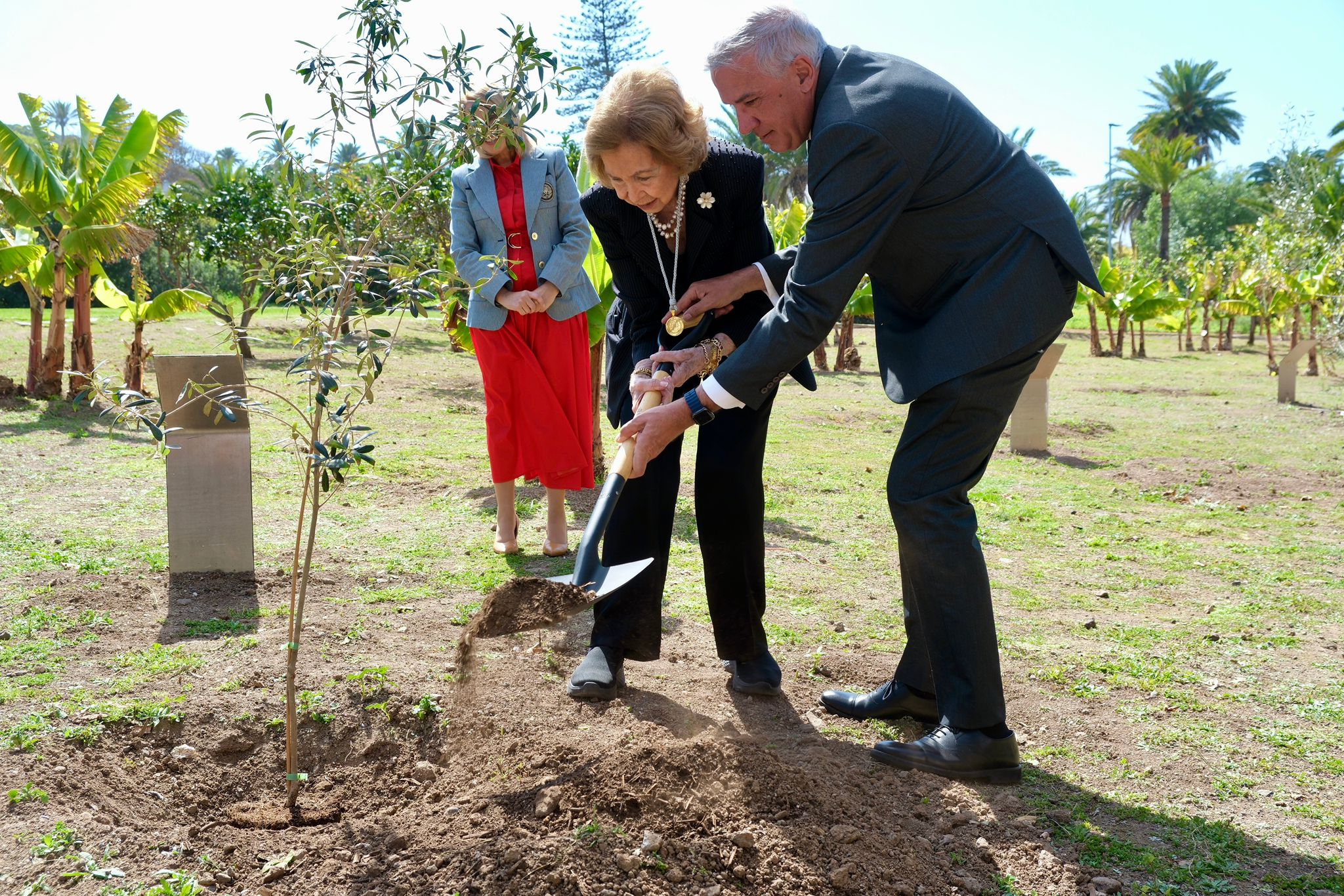 La ULPGC inviste a SM La Reina Doña Sofía como Doctora Honoris Causa