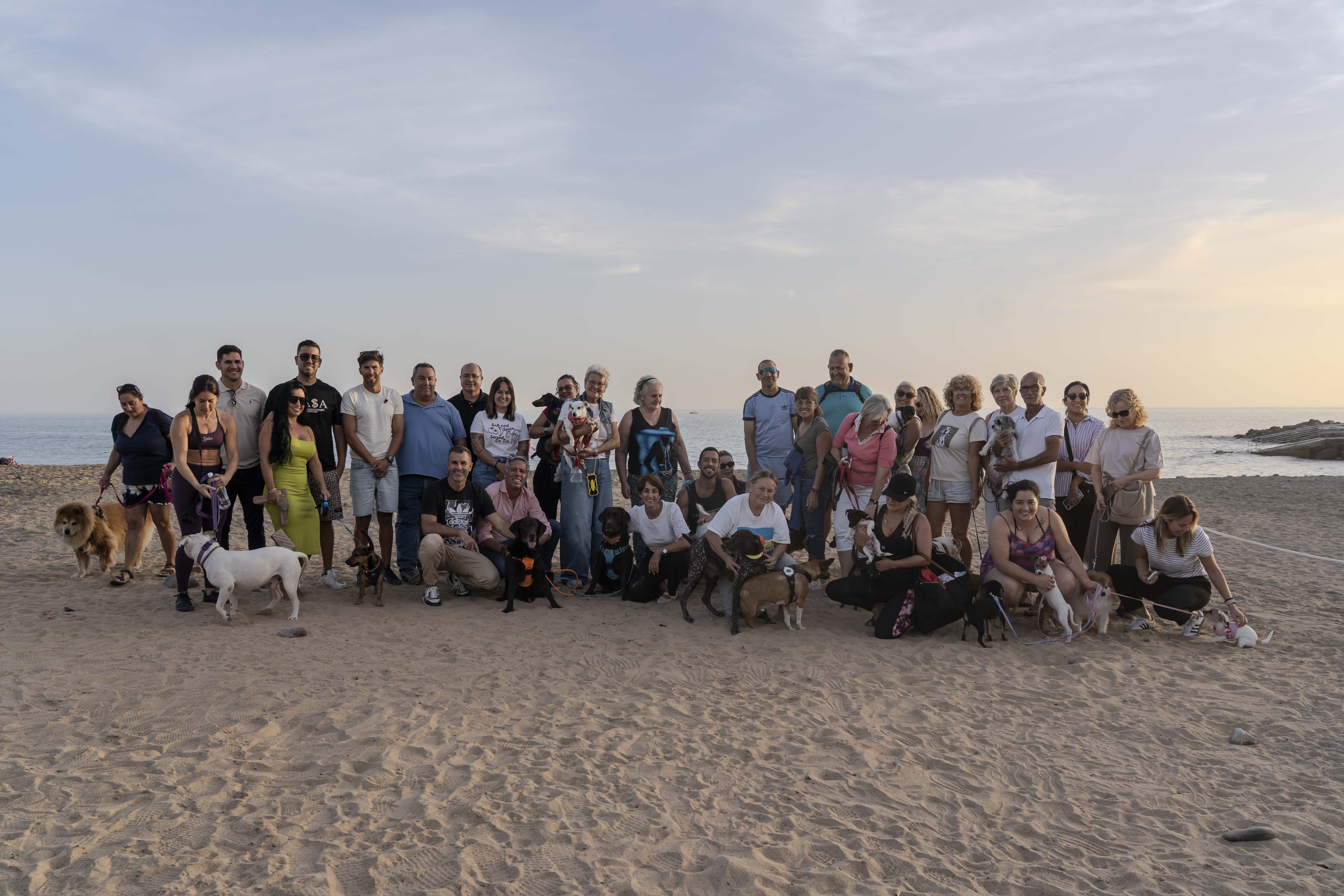 La Playa El Perchel en Mogán, habilitada para mascotas