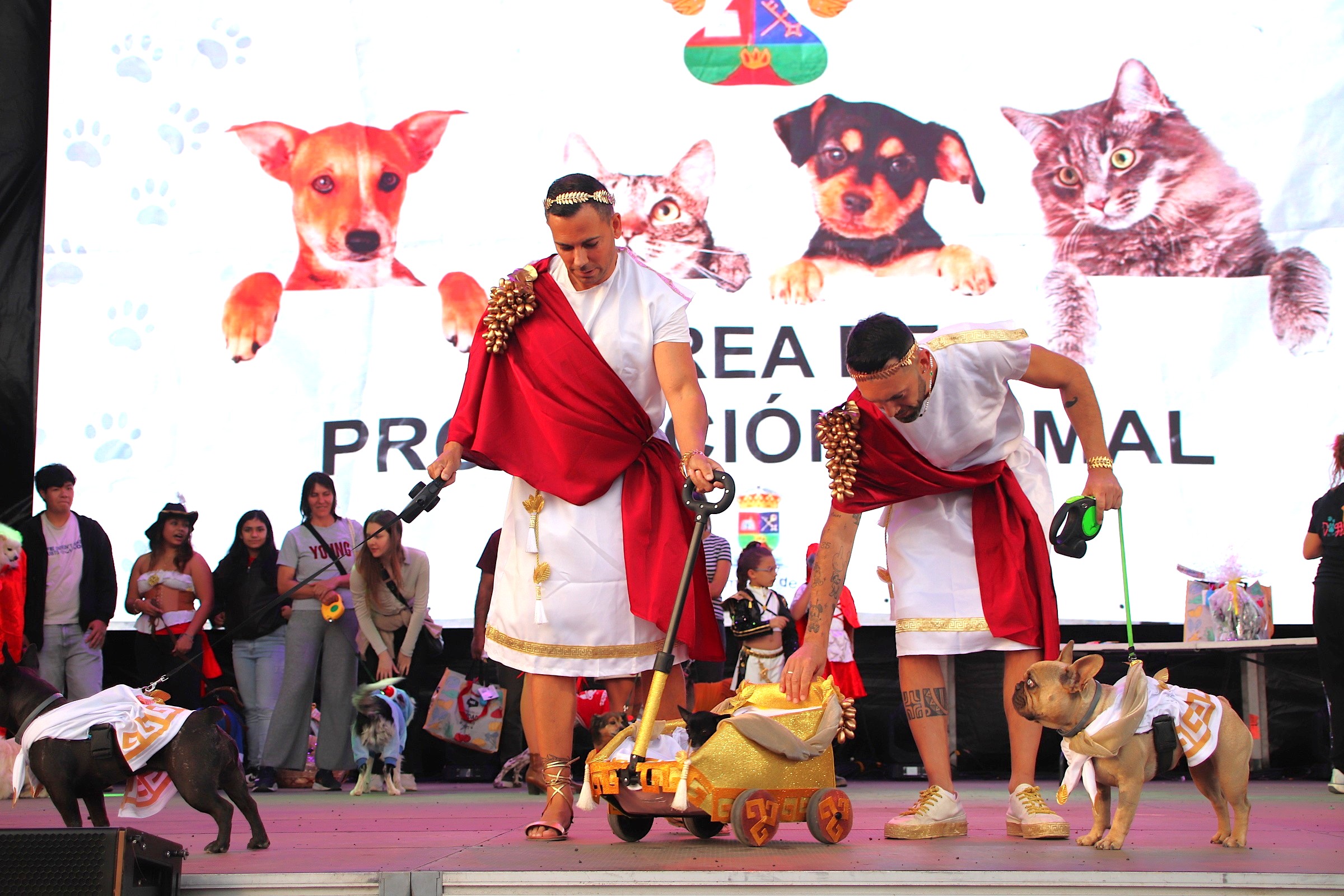 Carnaval Canino de Playa Blanca