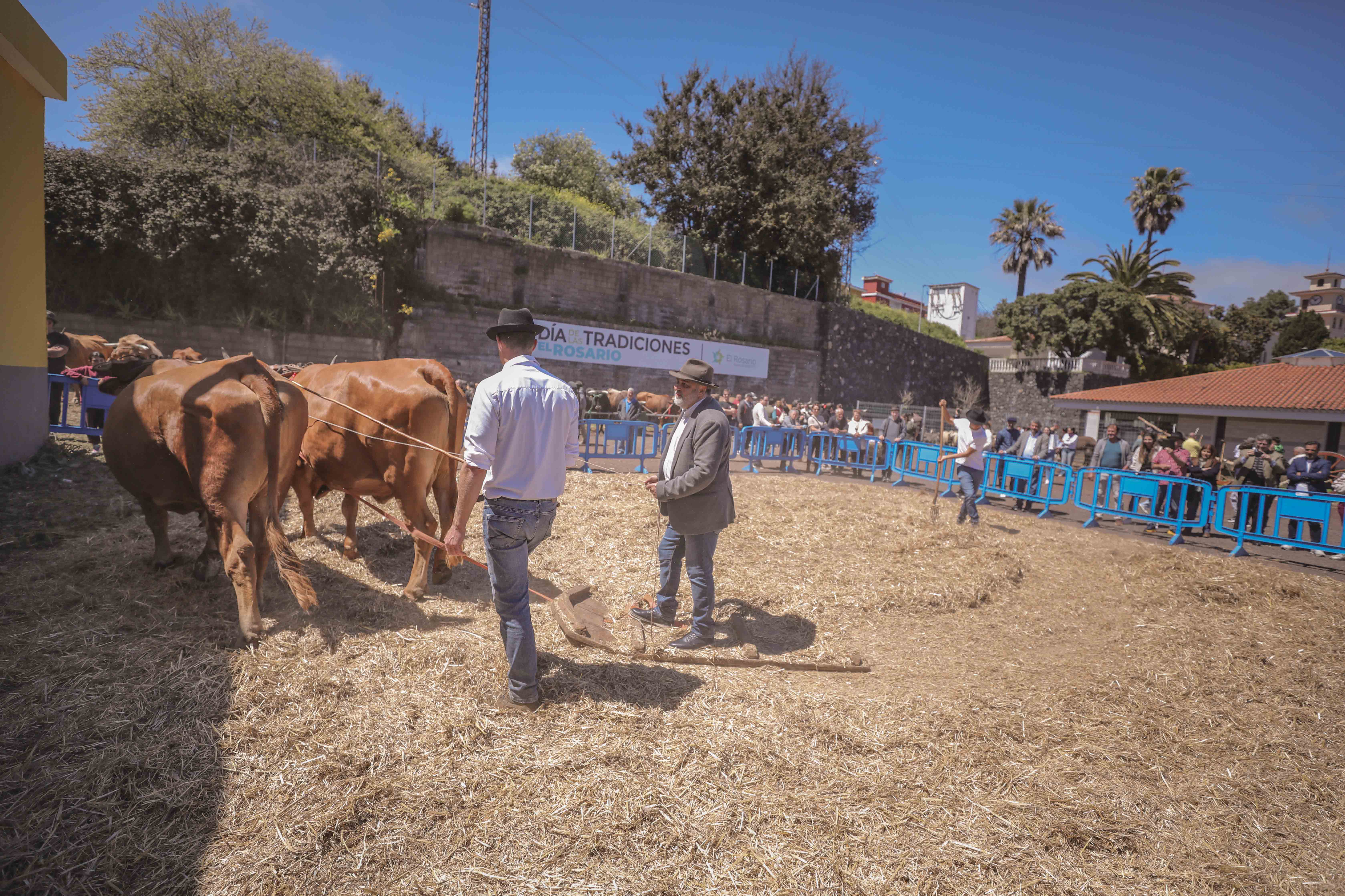 Día de las Tradiciones de El Rosario