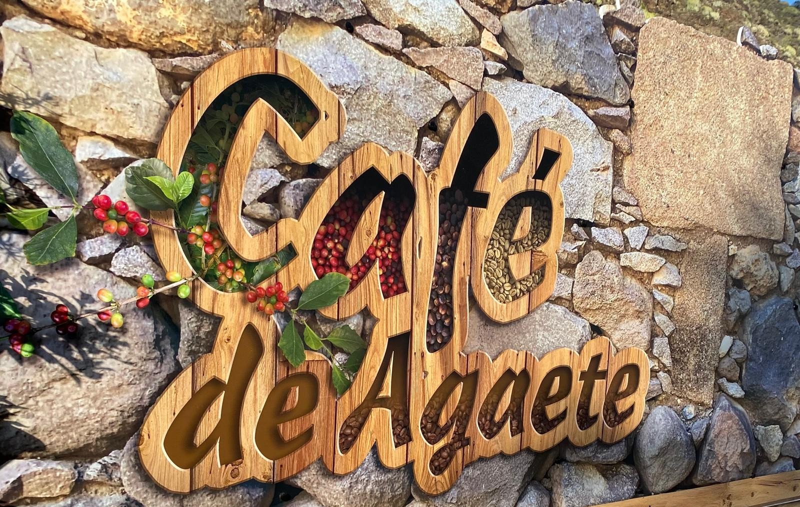 Agaete, mejor municipio en los Premios Enogastroturismo 2026 de la ULL