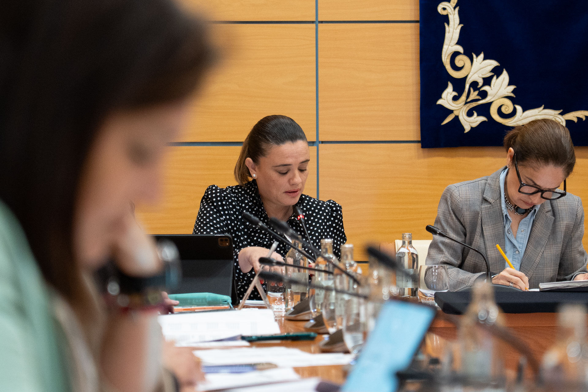 Pleno del Cabildo de Fuerteventura