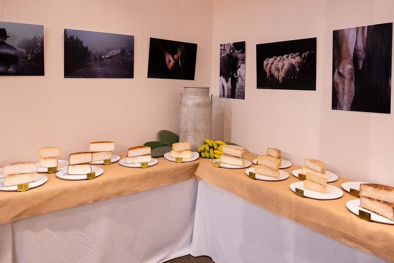 Cata de Quesos de los Altos de Gáldar