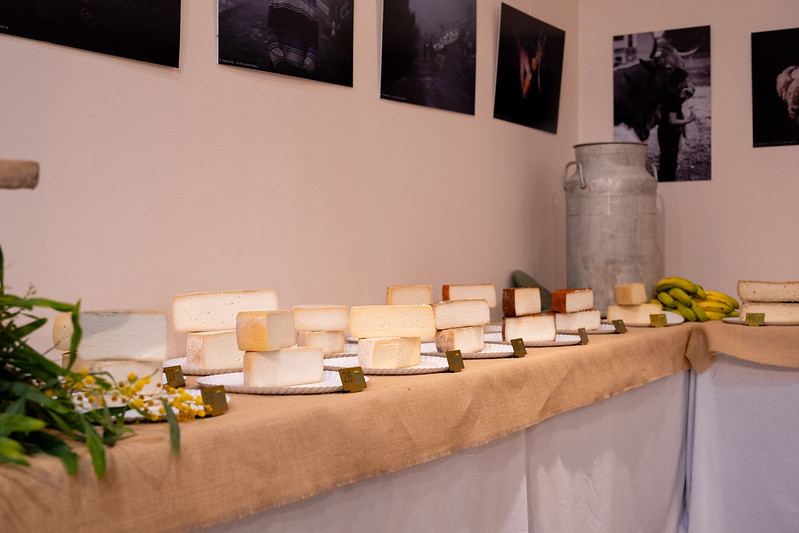 Cata de Quesos de los Altos de Gáldar