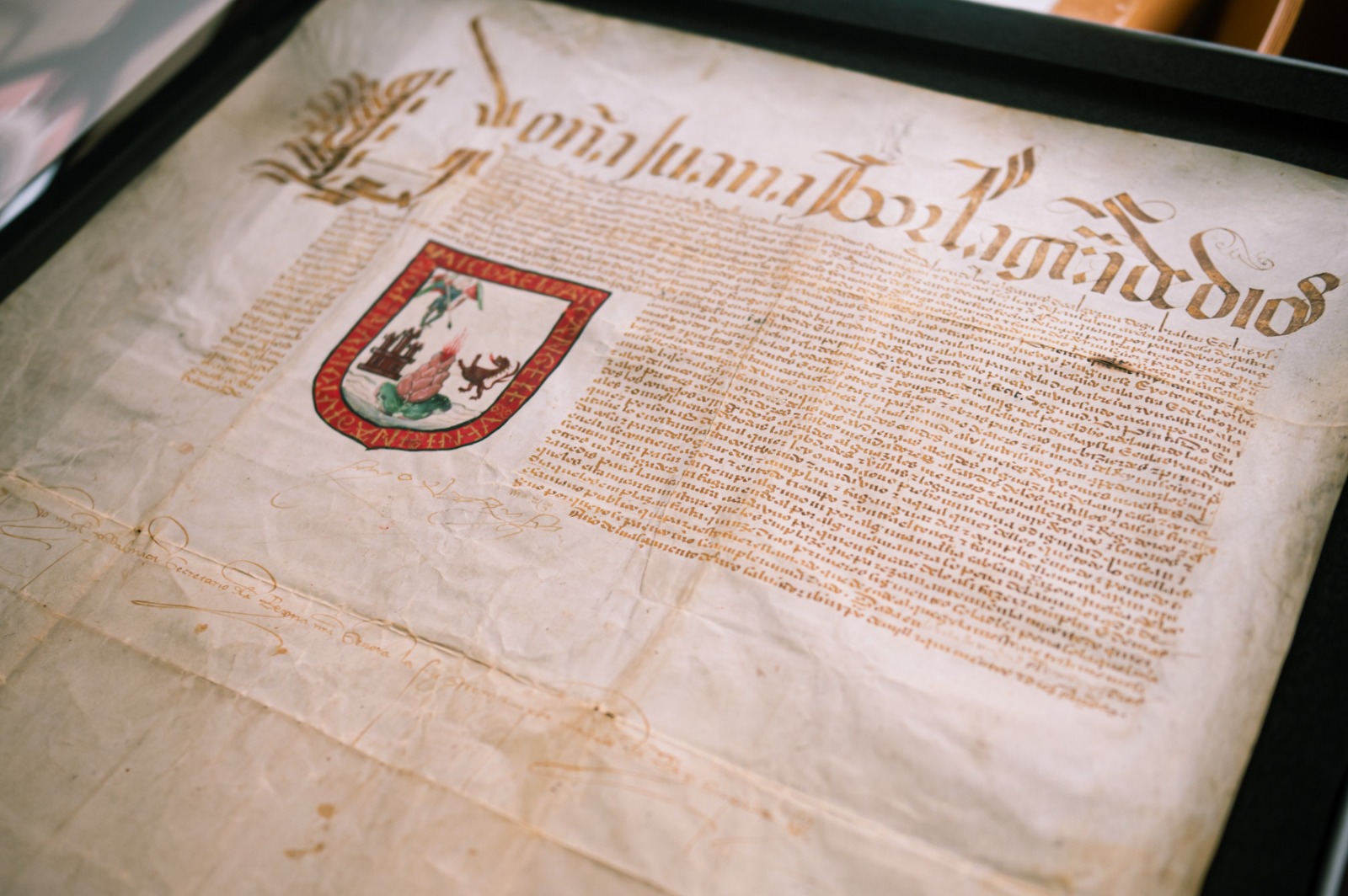 La Laguna abre las inscripciones para Documenta