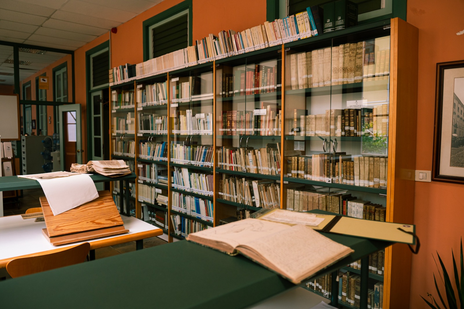 La Laguna abre las inscripciones para Documenta