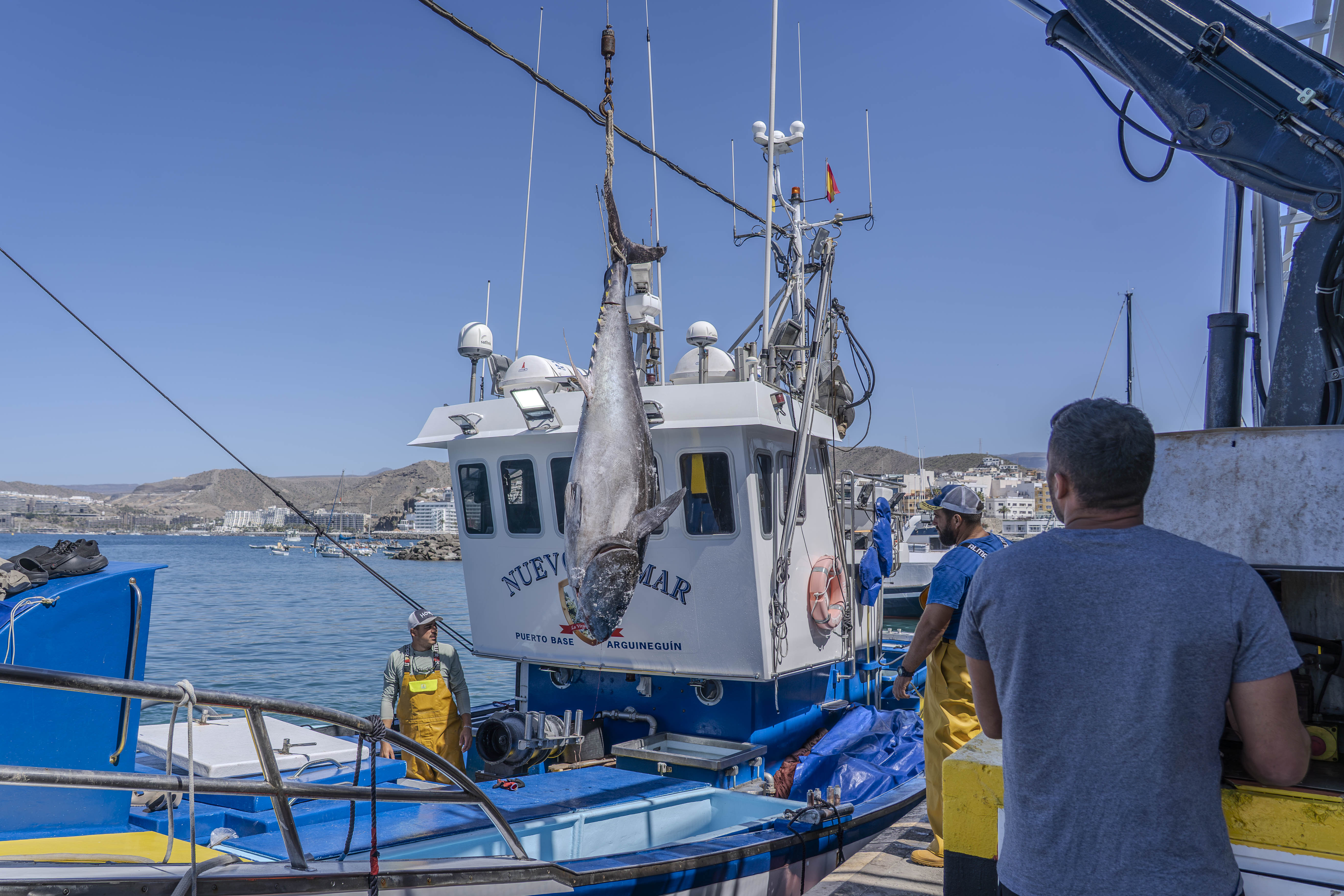 El puerto de Arguineguín recibe la primera descarga de atún rojo
