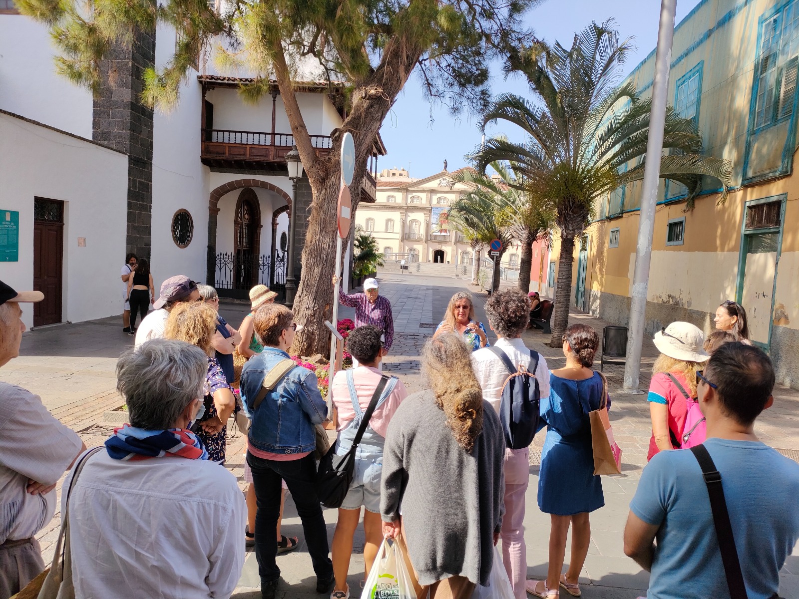 Ruta guiada para conocer los árboles singulares de Santa Cruz de Tenerife