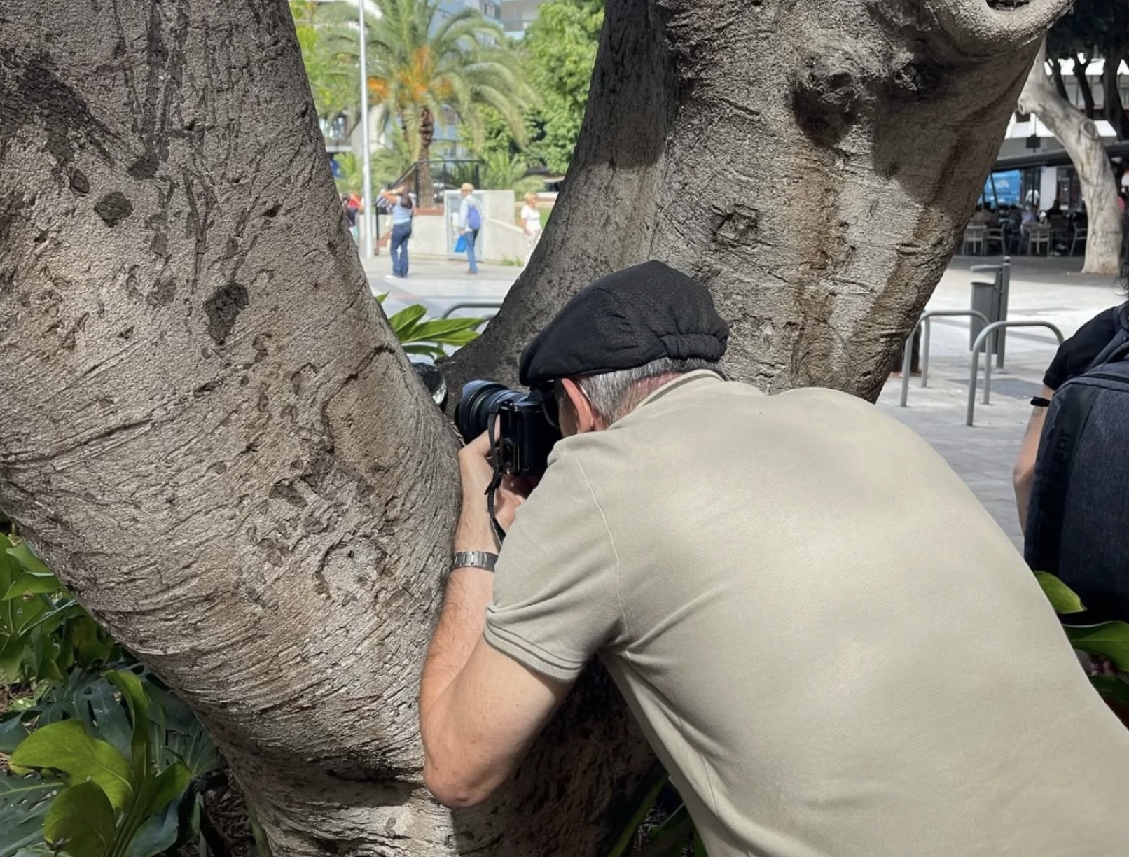 Concurso de Fotografía Rápida en Mesa y López