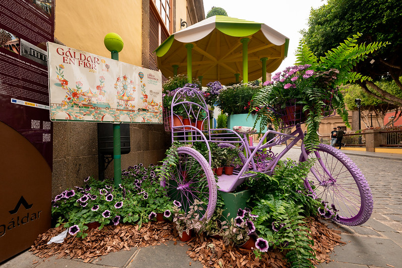 Inauguración de "Gáldar en Flor"
