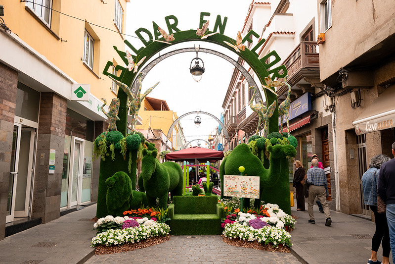 Inauguración de "Gáldar en Flor"