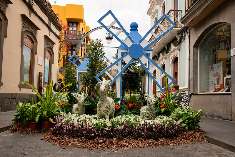 Inauguración de "Gáldar en Flor"