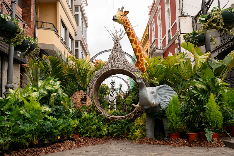 Inauguración de "Gáldar en Flor"