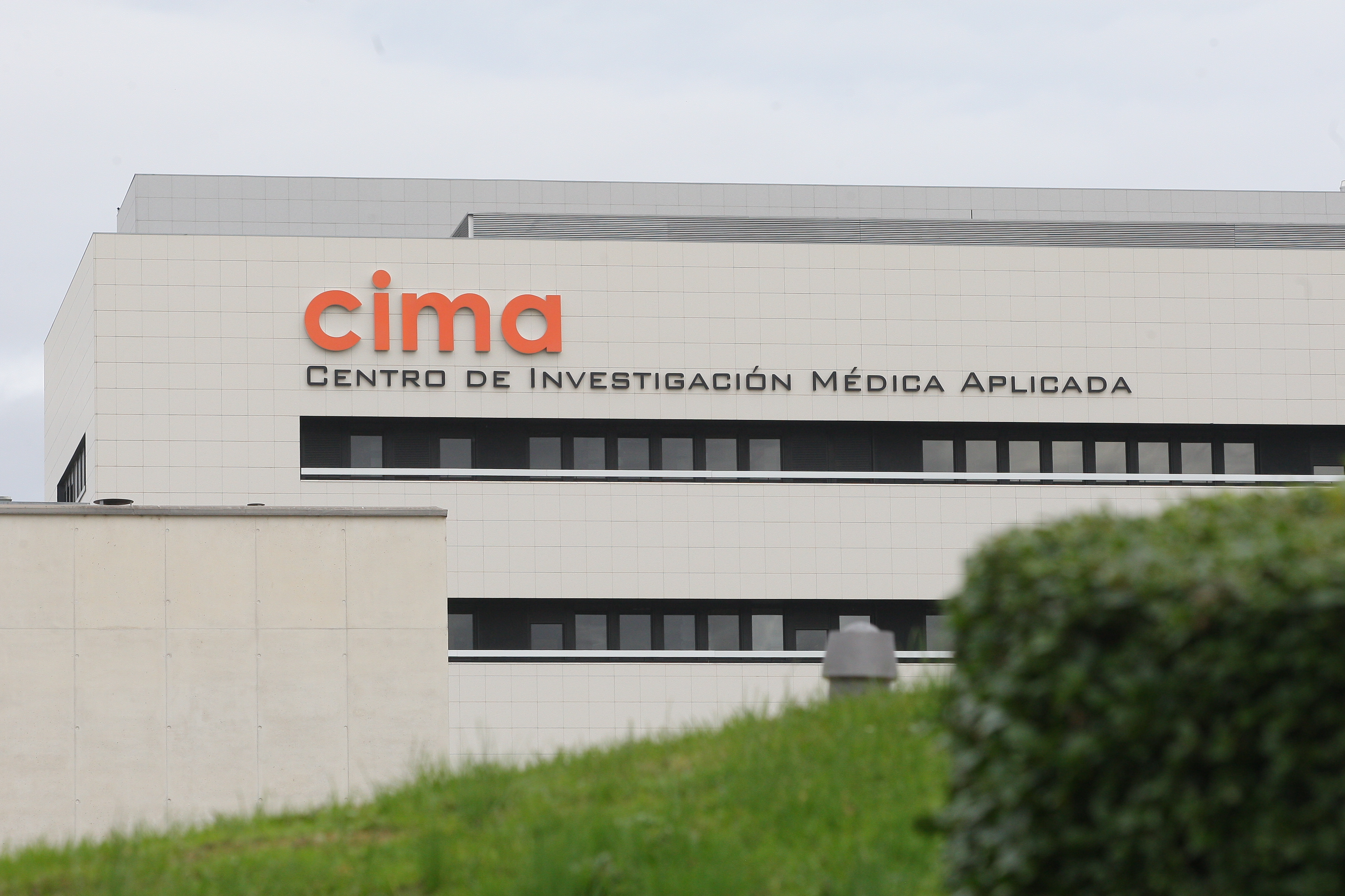 El Grupo Lopesan impulsa una investigación pionera para personalizar el tratamiento del mieloma múltiple