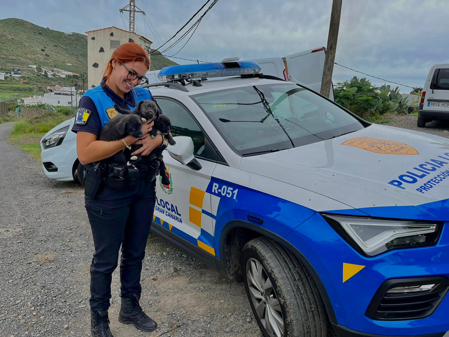 Unidad de Mediación y Convivencia (UMEC) de la Policía Local de Las Palmas de Gran Canaria