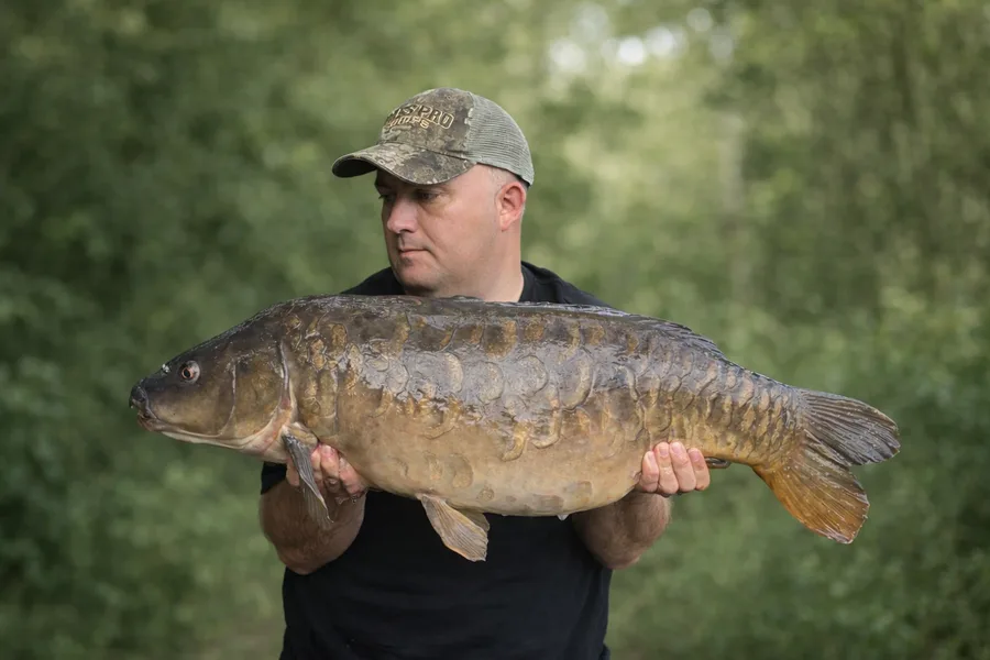 Mirror Carp