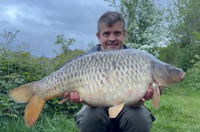 Fully Scaled