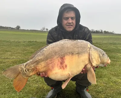 Mirror Carp