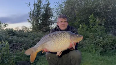 Fully Scaled