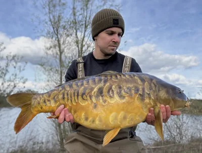 Mirror Carp