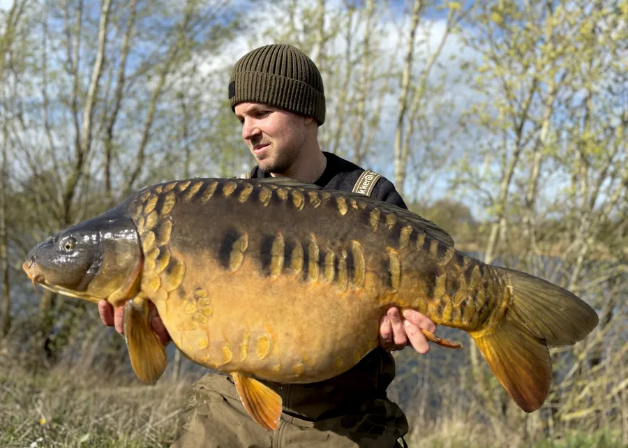 Mirror Carp