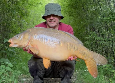 Mirror Carp