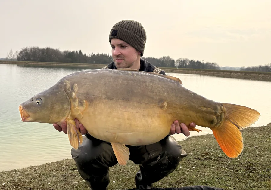 Mirror Carp