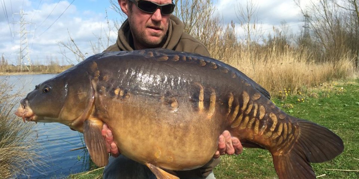 Bayeswater - Day Ticket