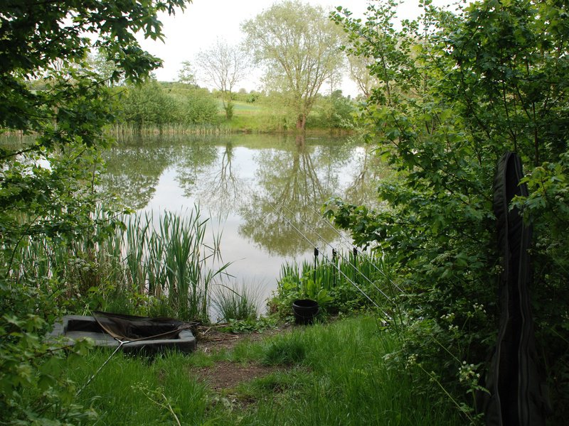 Bayeswater - Kings Court