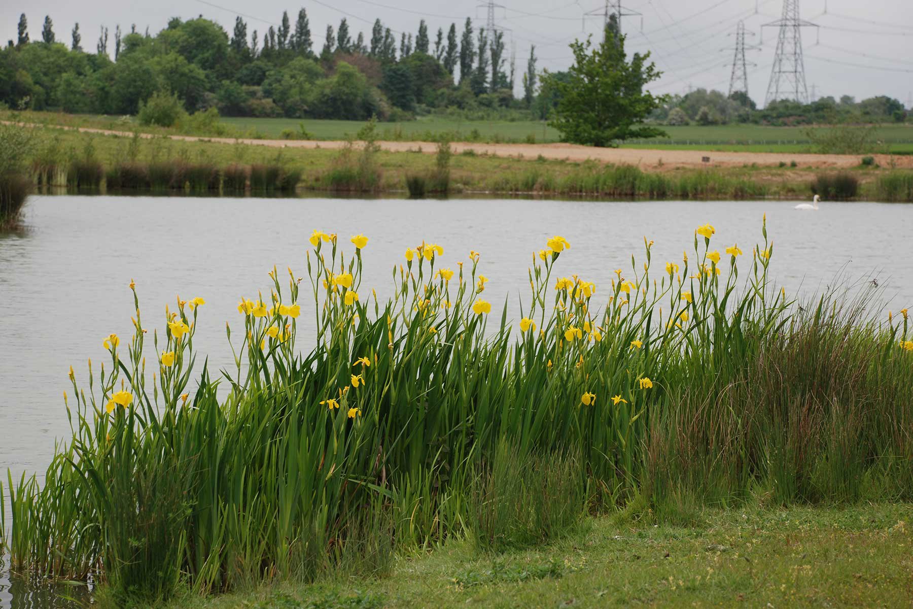 Bayeswater - Day Ticket