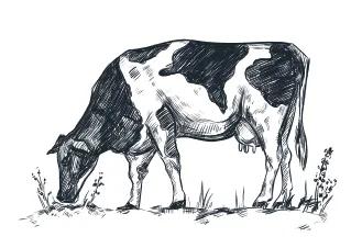 Farmers