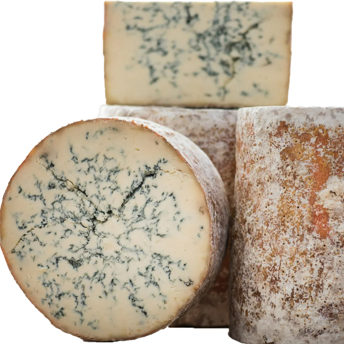 Colston Bassett Blue Stilton 1/2 4KG