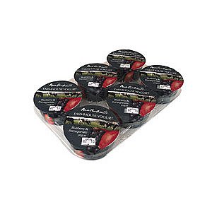 Alston Dairy Blueberry &amp; Pomegranate Farmhouse Yogurts