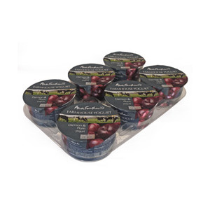 Alston Dairy Damson & Plum Farmhouse Yogurts 6x140g