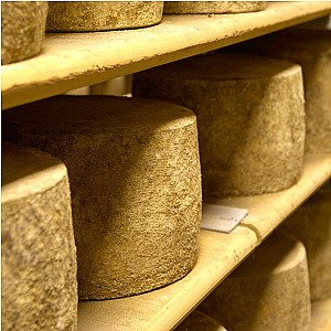 Lincolnshire Poacher 20kg