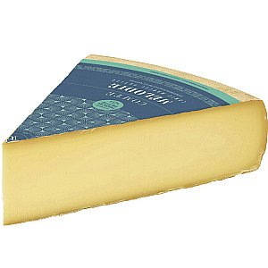 Comte Melodie 9 Months