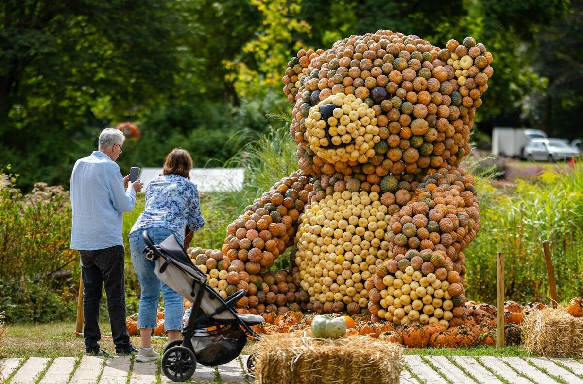 Kürbiszauber in Ludwigsburg 🎃