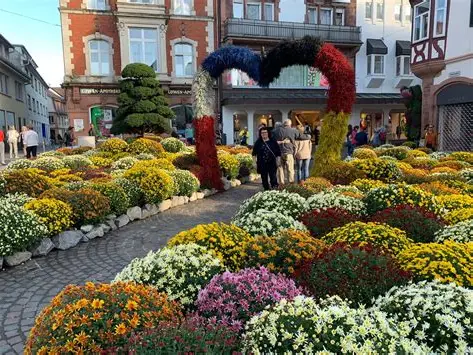 Chrysanthema Lahr – Ein Blütenmeer voller Farben 