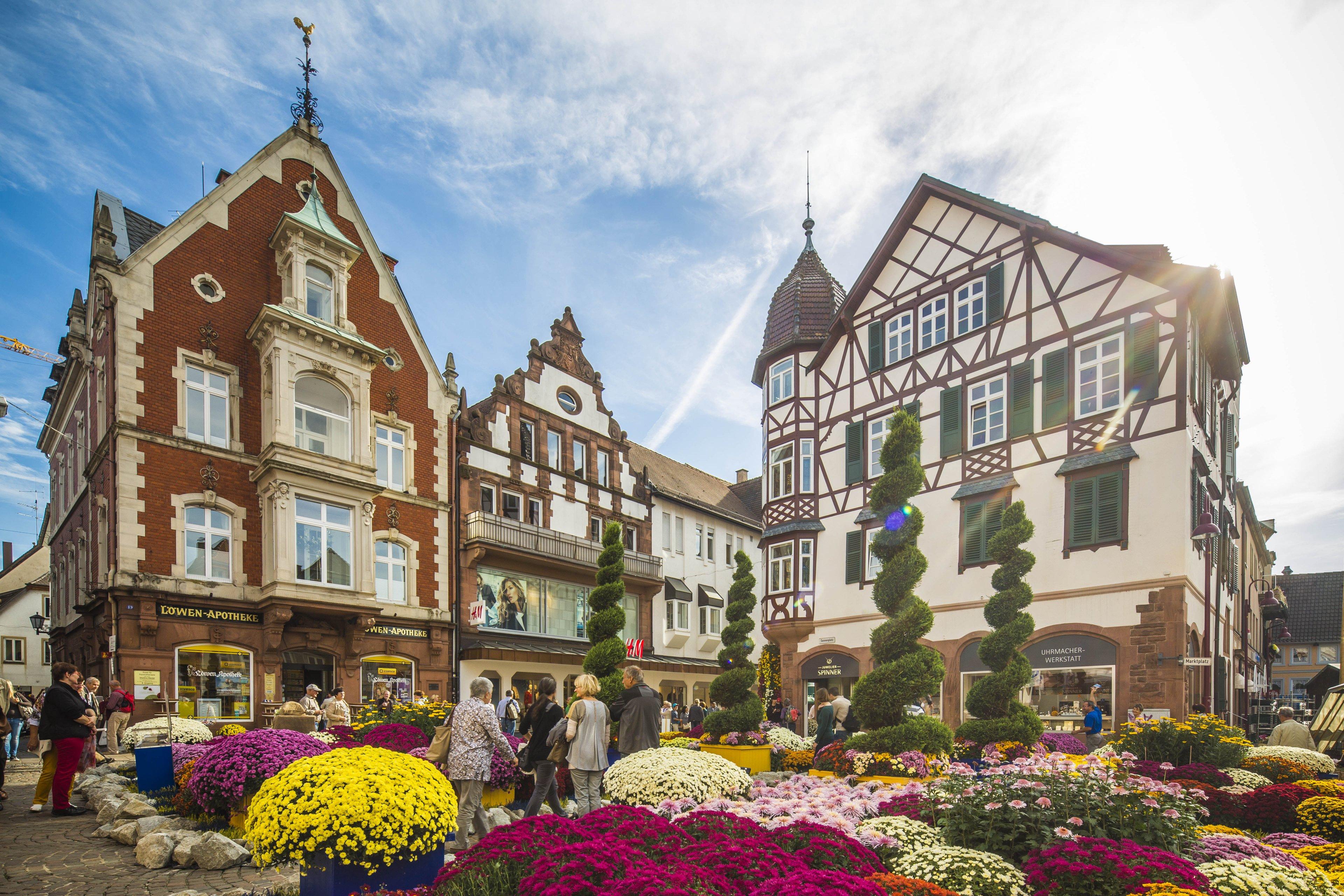 Chrysanthema Lahr – Ein Blütenmeer voller Farben 