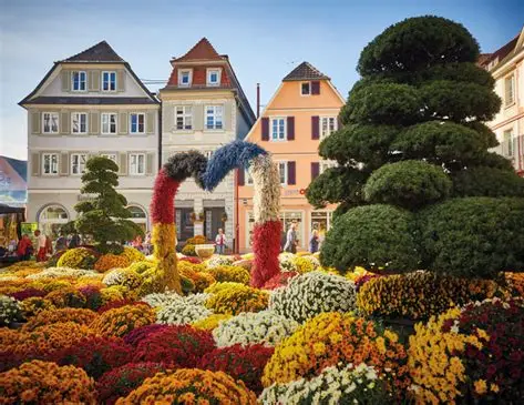 Chrysanthema Lahr – Ein Blütenmeer voller Farben 